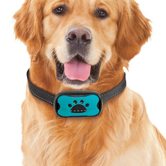 Dogs Anti Bark Collar